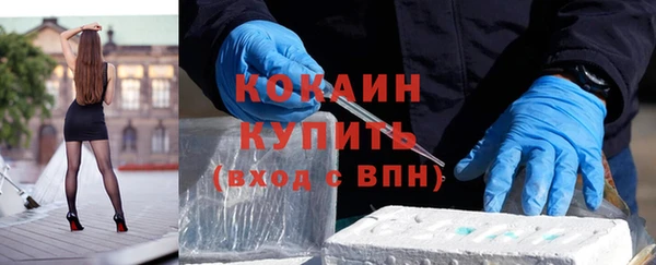 индика Балахна