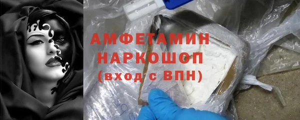 индика Балахна