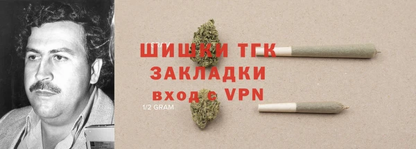 индика Балахна