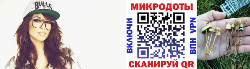 Псилоцибиновые грибы прущие грибы  Озёры 